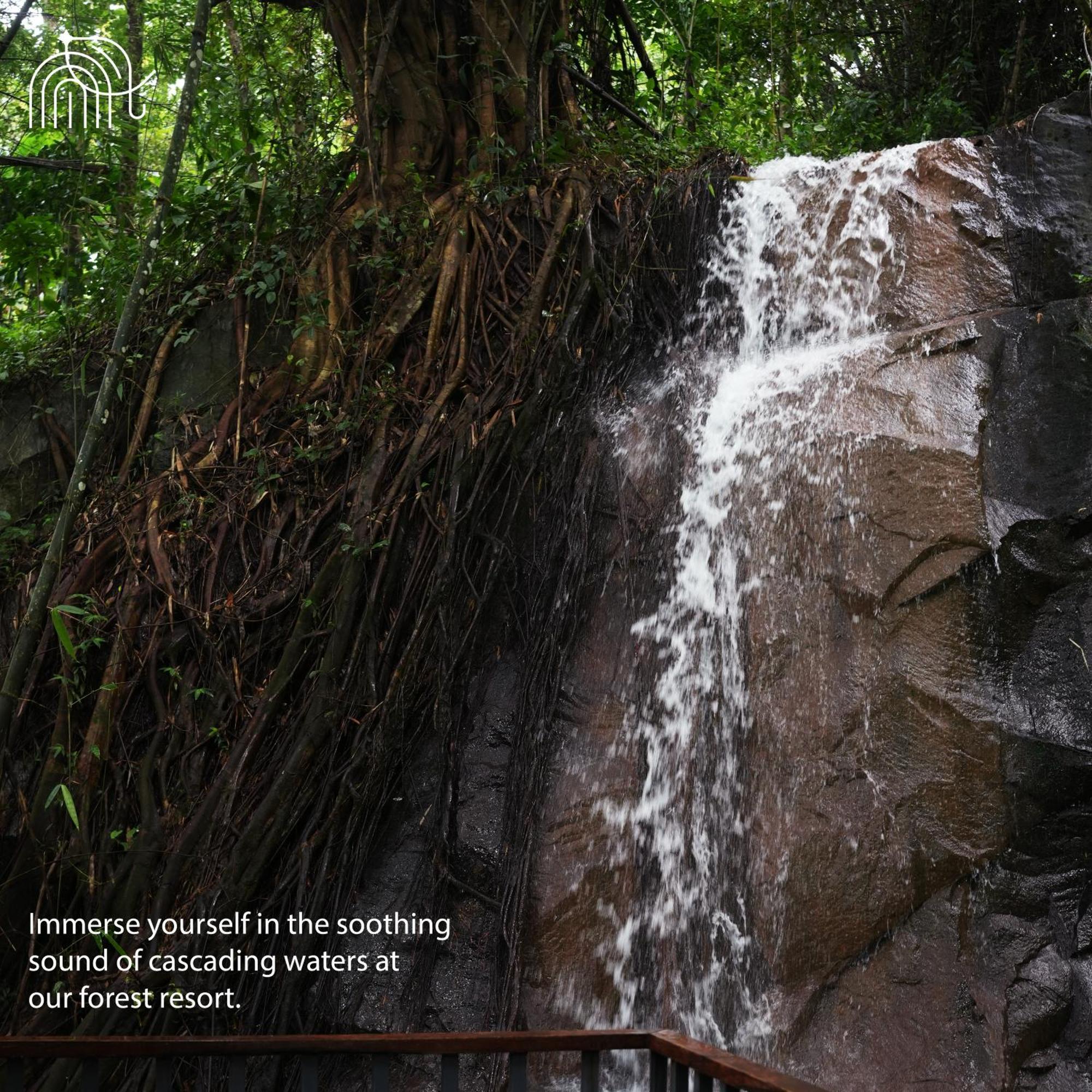 Wayanad Silverwoods Forest Resort & Spa Padinjarathara Extérieur photo