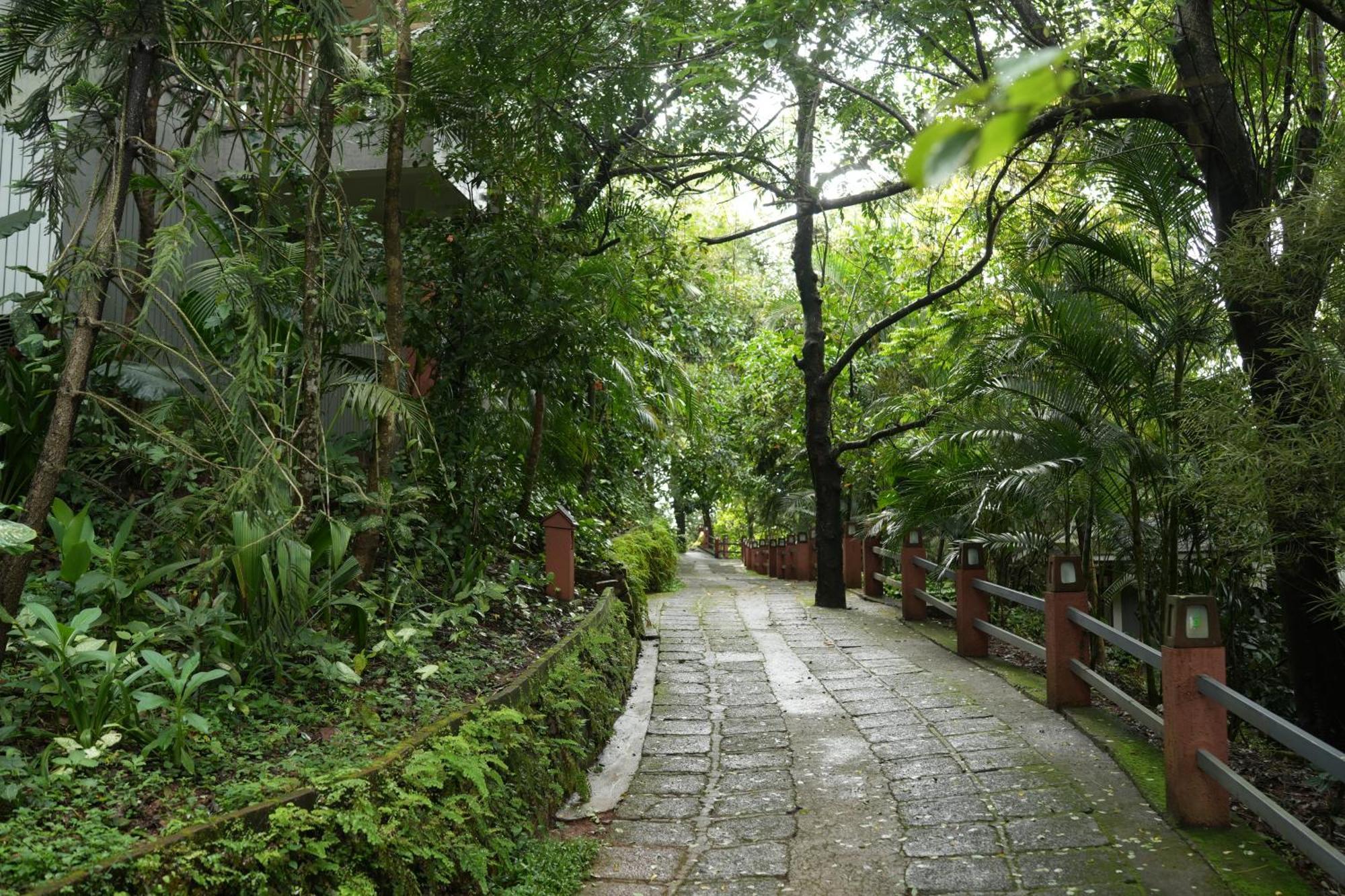 Wayanad Silverwoods Forest Resort & Spa Padinjarathara Extérieur photo