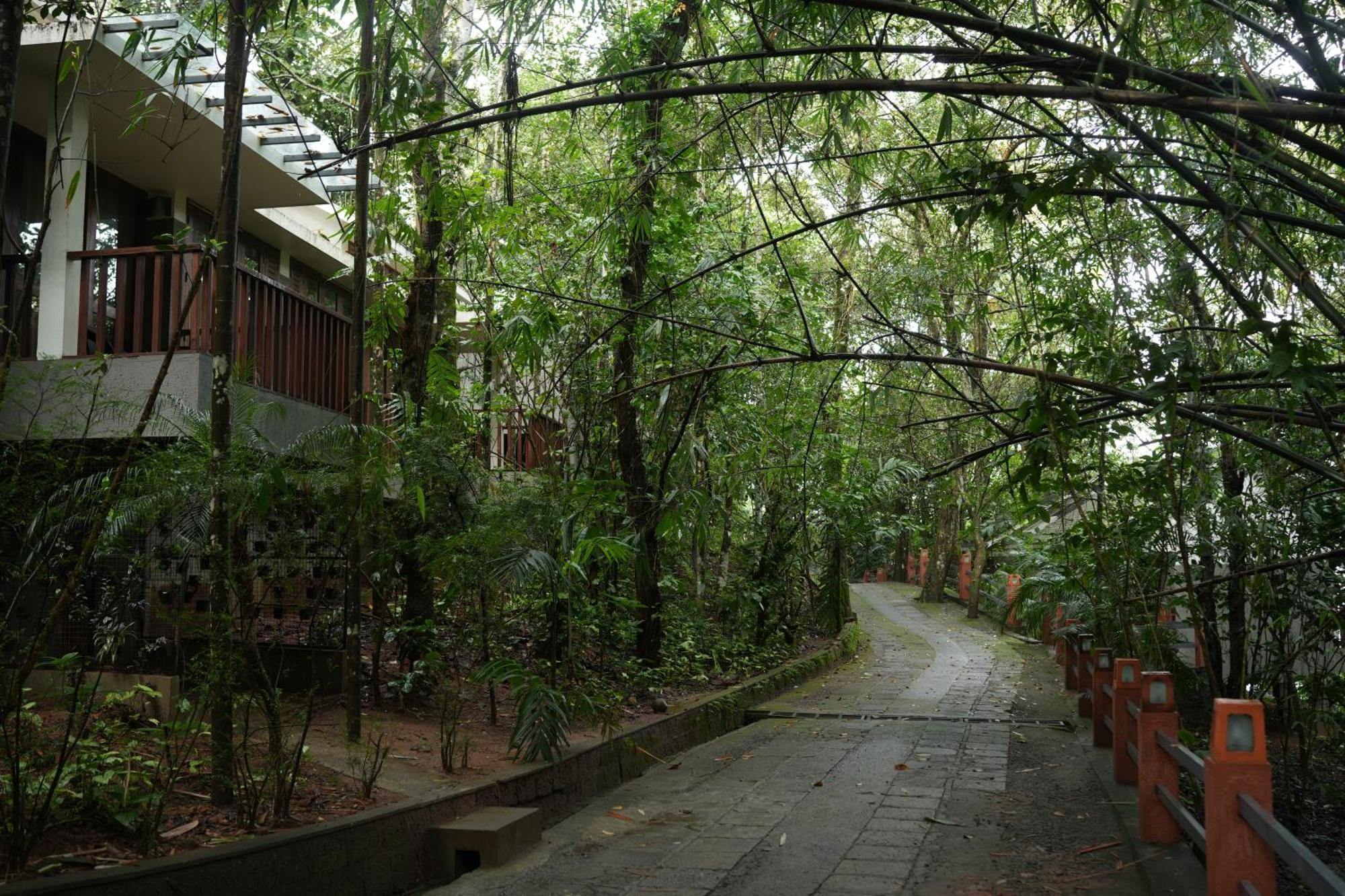 Wayanad Silverwoods Forest Resort & Spa Padinjarathara Extérieur photo