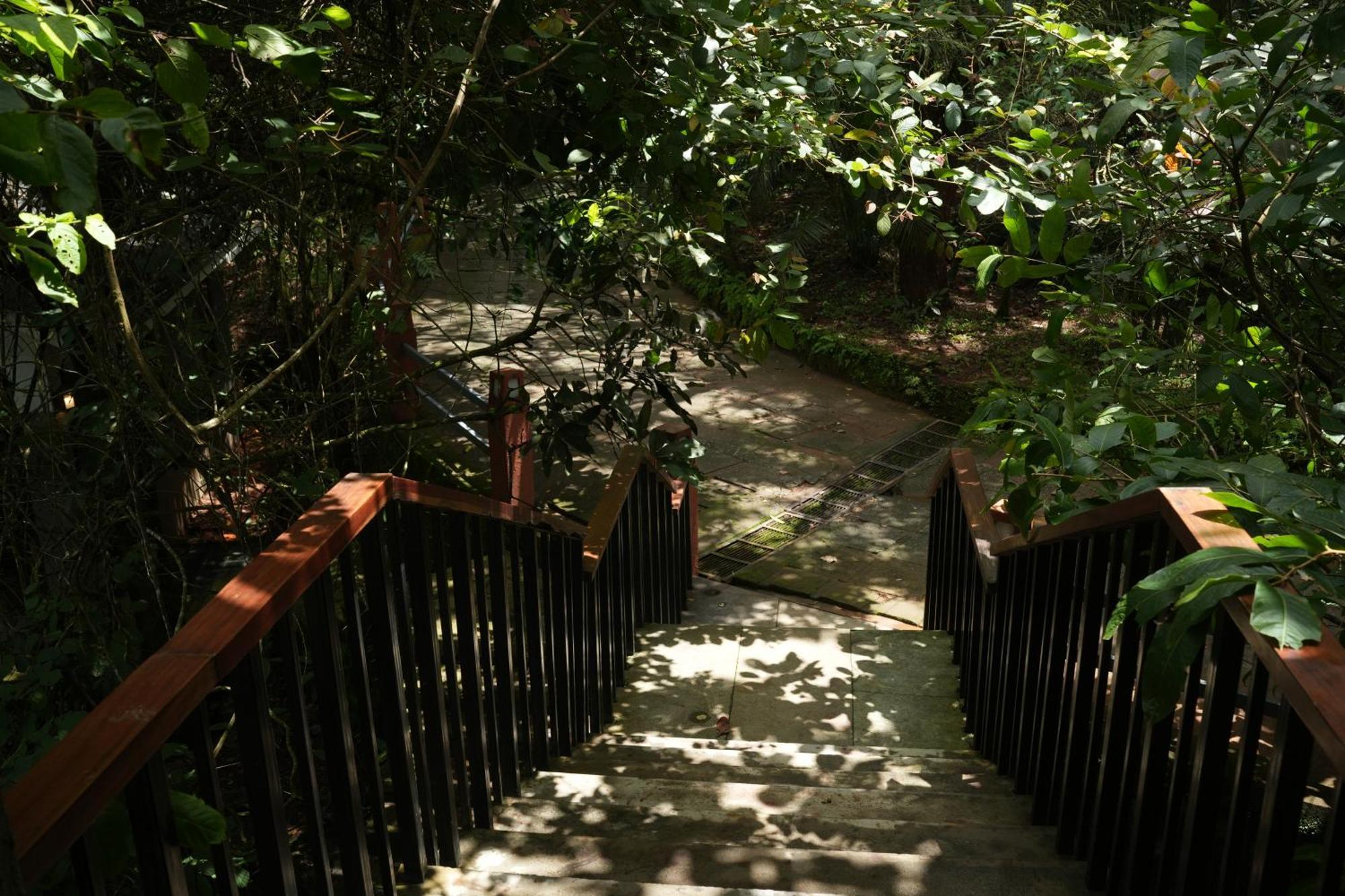 Wayanad Silverwoods Forest Resort & Spa Padinjarathara Extérieur photo