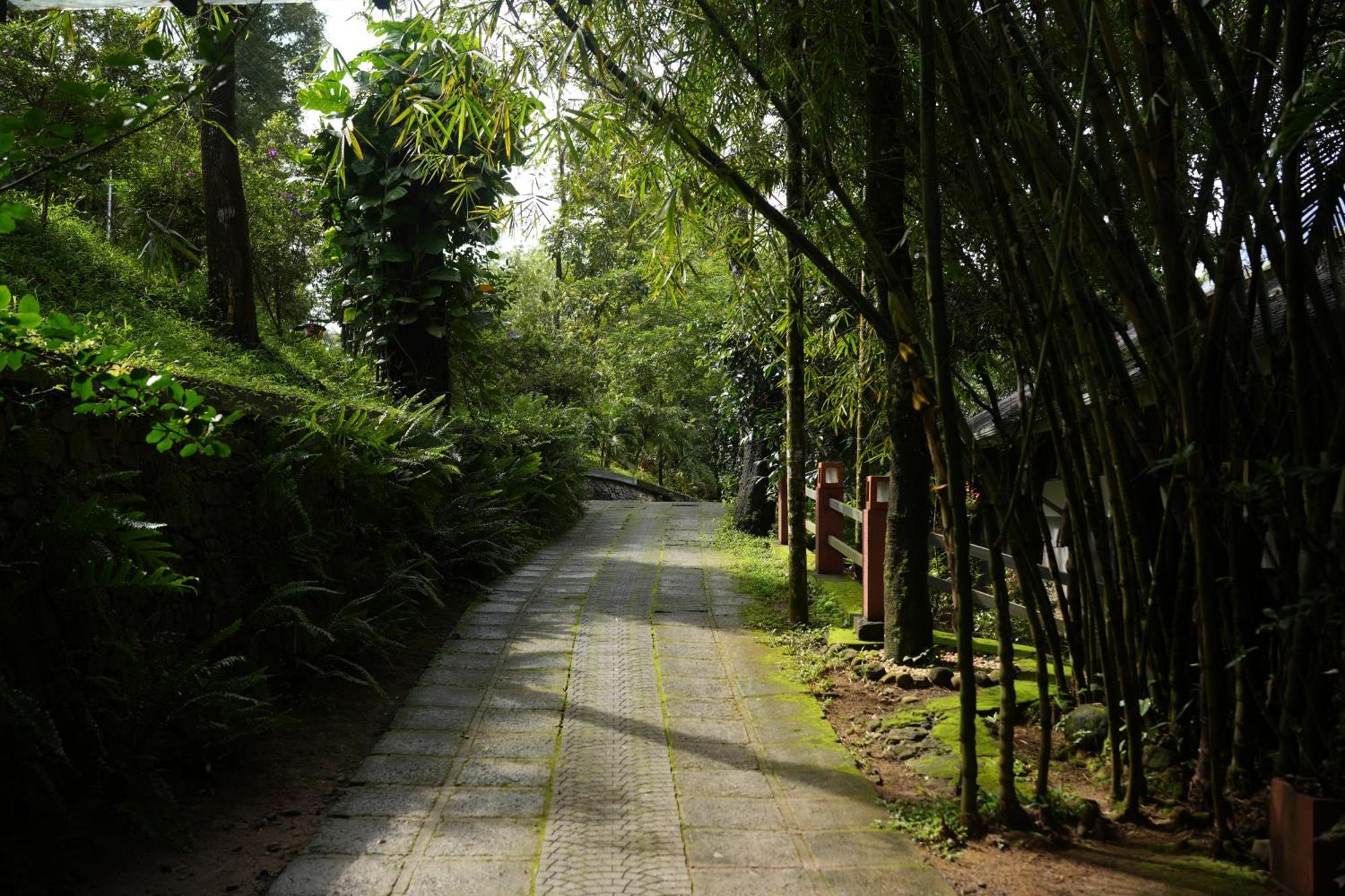 Wayanad Silverwoods Forest Resort & Spa Padinjarathara Extérieur photo