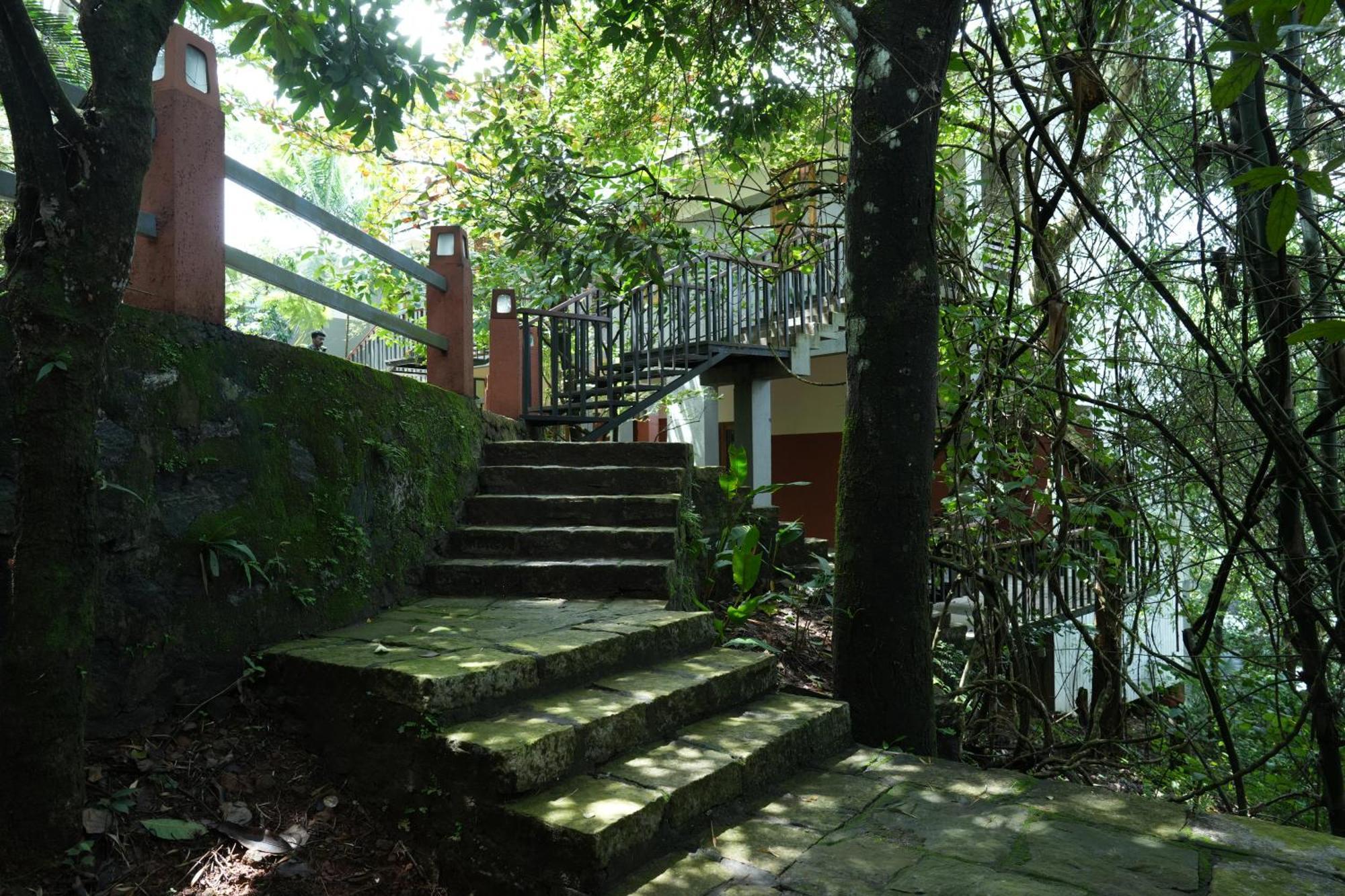 Wayanad Silverwoods Forest Resort & Spa Padinjarathara Extérieur photo