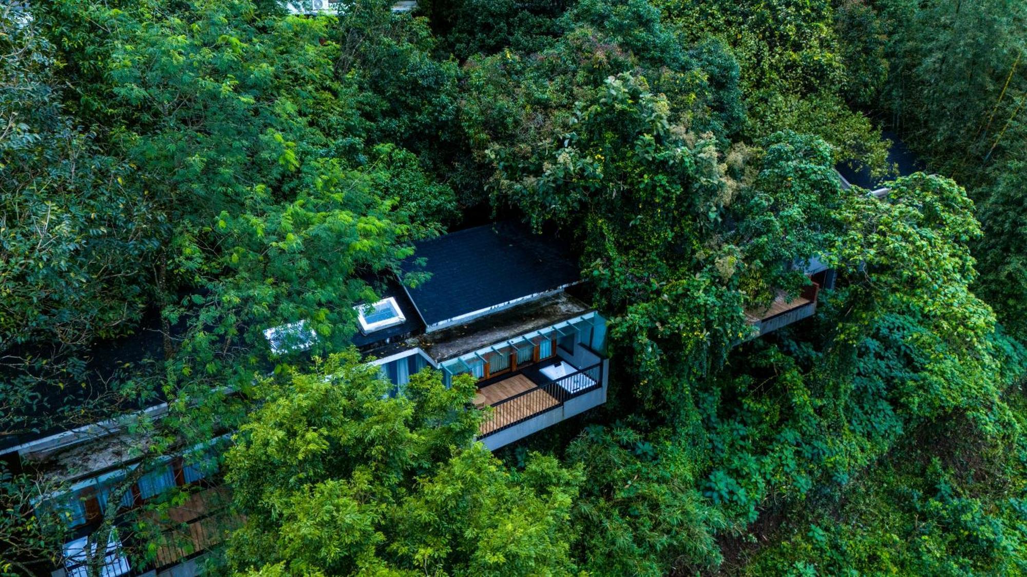 Wayanad Silverwoods Forest Resort & Spa Padinjarathara Extérieur photo